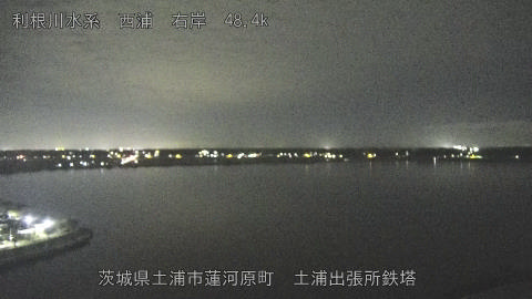 sakura2025101823_image