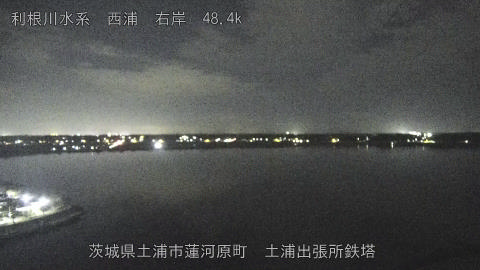 sakura2025101900_image
