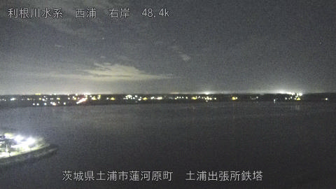 sakura2025101904_image