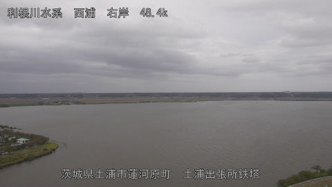 sakura2025101914_image