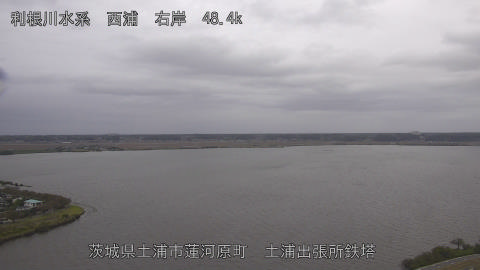 sakura2025101915_image