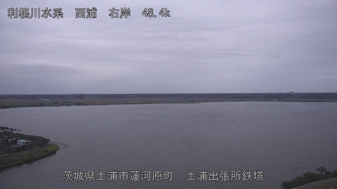sakura2025101917_image