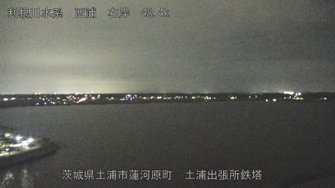 sakura2025101919_image