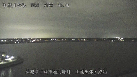 sakura2025101920_image