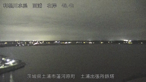 sakura2025101921_image