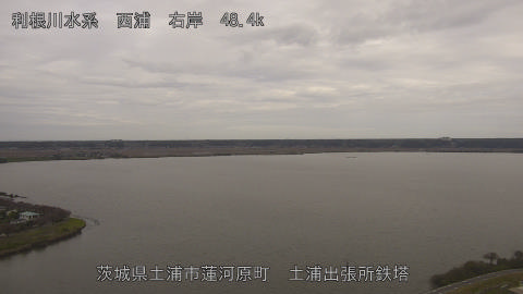 sakura2025110612_image