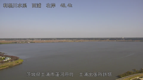 sakura2025110712_image