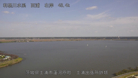 sakura2025110812_image