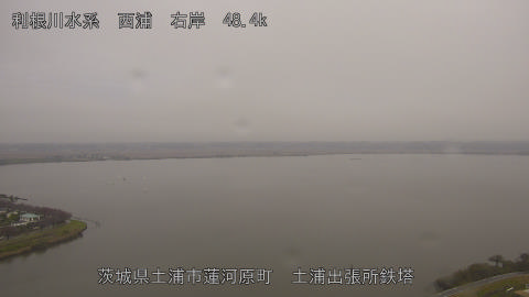 sakura2025110912_image