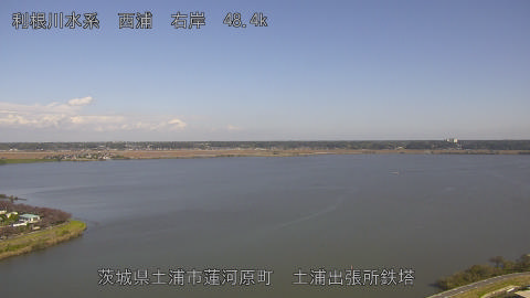 sakura2025111012_image