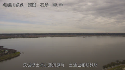 sakura2025111112_image