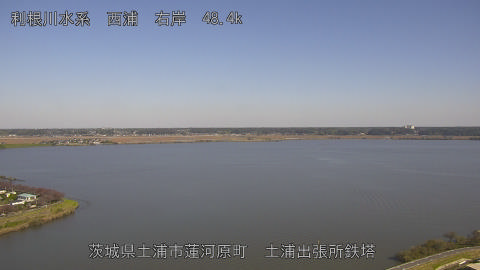 sakura2025111212_image