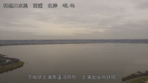 sakura2025111312_image