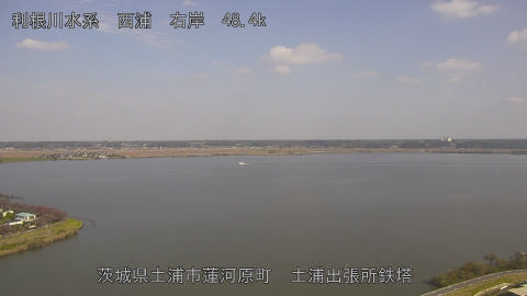 sakura2025111412_image