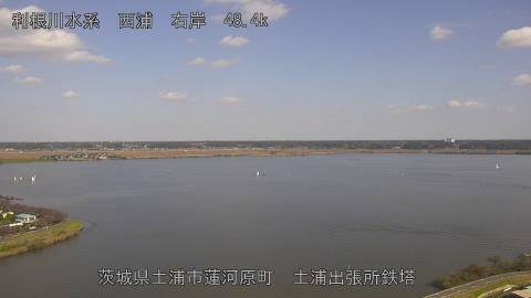 sakura2025111512_image