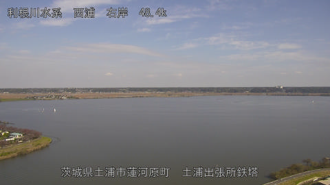 sakura2025111612_image