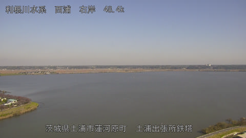 sakura2025111712_image