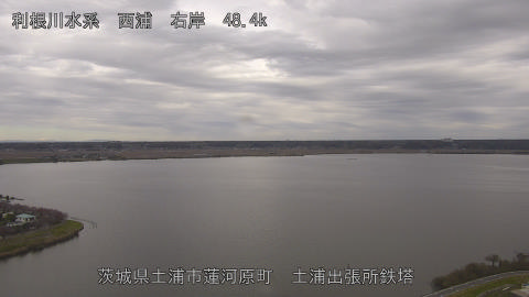 sakura2025111812_image