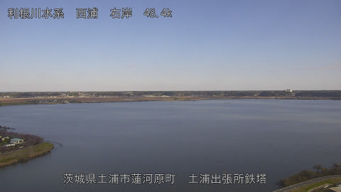 sakura2025111912_image