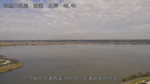 sakura2025112012_image