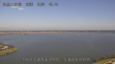 sakura2025112112_image