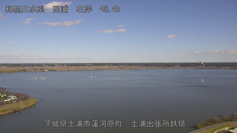 sakura2025112212_image