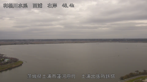 sakura2025112312_image