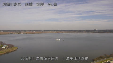 sakura2025112412_image