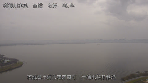 sakura2025112512_image