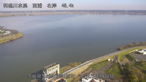 sakura2025112612_image