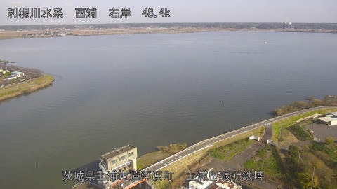 sakura2025112712_image