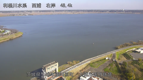 sakura2025112812_image