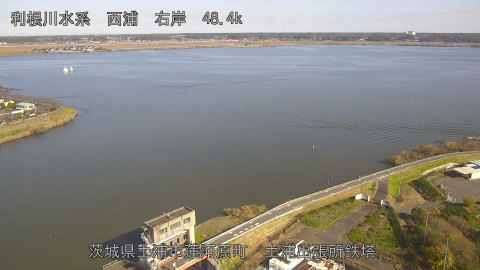 sakura2025112912_image