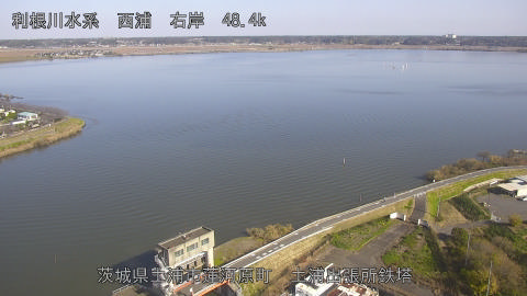 sakura2025113012_image