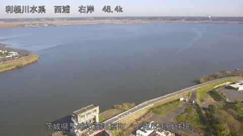 sakura2025120112_image