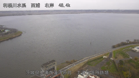 sakura2025120212_image