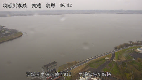 sakura2025120312_image