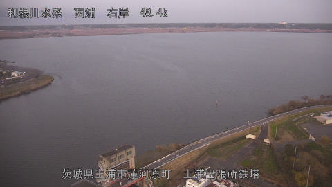 sakura2025120317_image