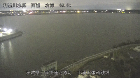 sakura2025120319_image