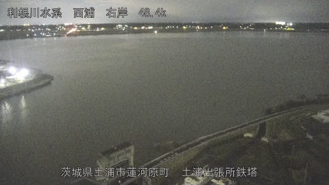 sakura2025120321_image