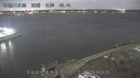 sakura2025120400_image