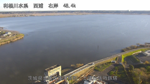 sakura2025120408_image