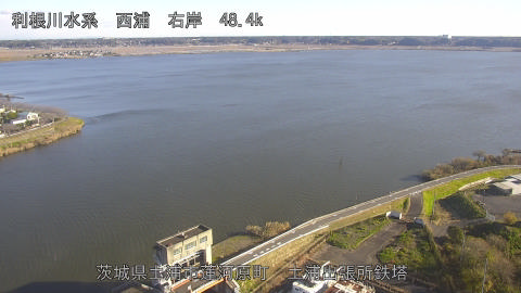 sakura2025120409_image