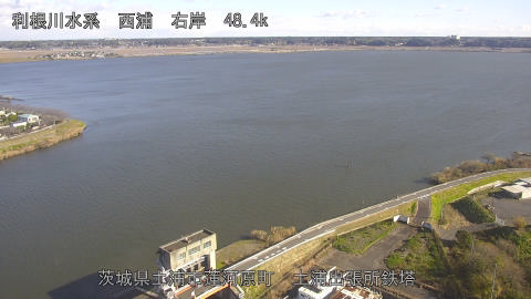 sakura2025120410_image