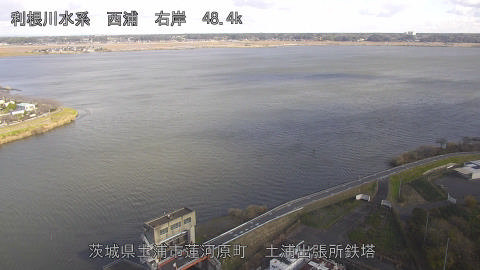 sakura2025120411_image