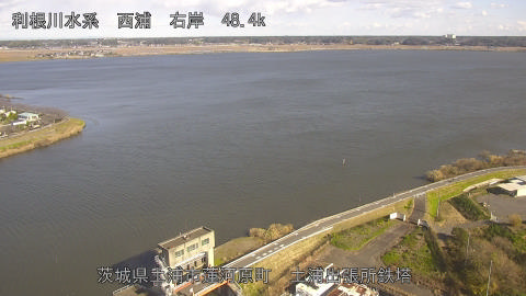 sakura2025120412_image