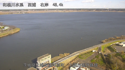 sakura2025120413_image