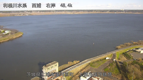 sakura2025120414_image