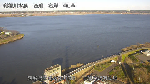 sakura2025120415_image