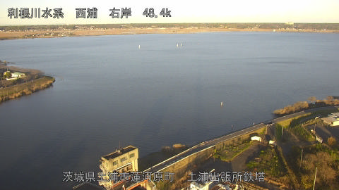 sakura2025120416_image